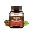 Alchornea cordifolia | Christmas bush - raw herbal tablets - 100g |P21|