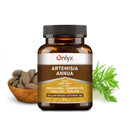 Artemisia annua | Einjähriger Beifuß - RAW Kräutertabletten - 100g |P19|