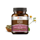 Bidens pilosa | Behaarter Zweizahn  - RAW Kräutertabletten - 100g |P17|