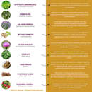 BAB-ELIX – Elixir à base de plantes ultra concentré 1:1 | Babesia