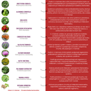 BART-ELIX élixir de plantes – explication des effets de chaque plante dans le protocole de S. H. Buhner