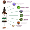 CHLAM-ELIX – Elixir à base de plantes ultra concentré 1:1 | Chlamydia