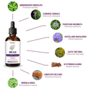 EBV-ELIX Epstein-Barr vírus 1:1 bylinná tinktúra – zloženie: právenka latnatá (Andrographis paniculata), srdcovník obyčajný (Leonurus cardiaca), mučenka opletavá (Passiflora incarnata), šišiak bajkalský (Scutelallaria baicalensis), farbovník obyčajný (Isatis tinctoria), sladké drievko (Glycyrrhiza glabra), žezlovka hmyzová (Cordyceps militaris), rozchodnica ružová (Rhodiola rosea). 