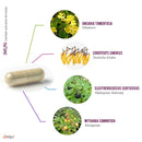 IMUN | Kräuterextraktformel - Kapseln - E02