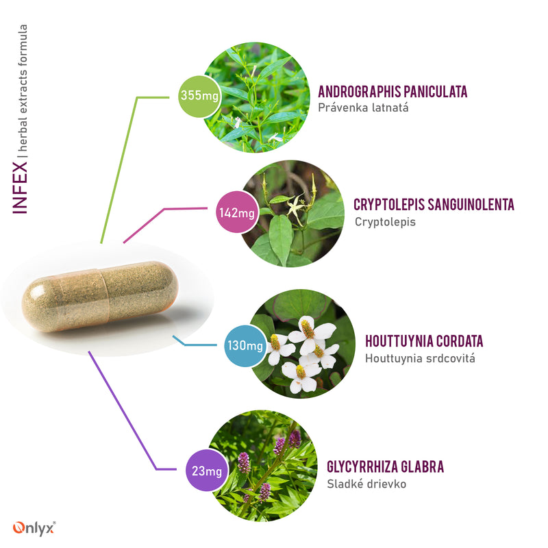 INFEX | herbal extracts formula - capsules - E03