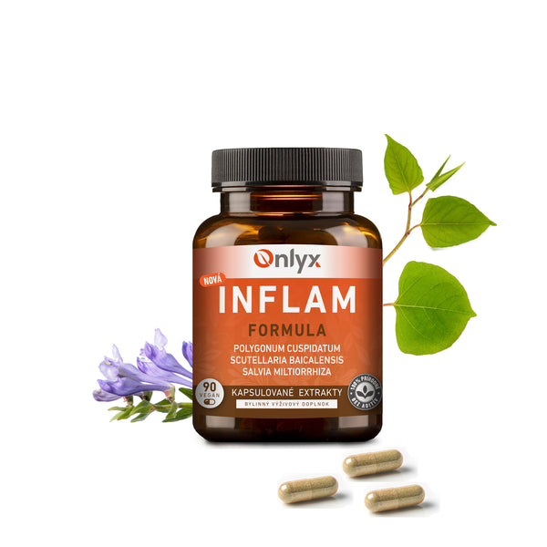 INFLAM | bylinná extraktová formule - kapsulová - E01