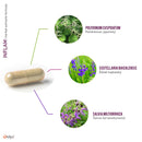 INFLAM | Kräuterextraktformel - Kapseln - E01