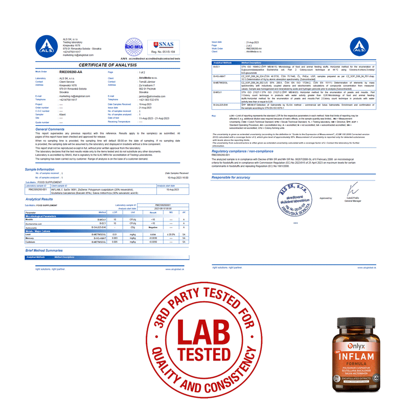 INFLAM | herbal extracts formula - capsules - E01