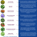 MYCOP-ELIX – Elixir à base de plantes ultra concentré 1:1 | Mycoplasma