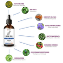 MYCOP-ELIX – Elixir à base de plantes ultra concentré 1:1 | Mycoplasma