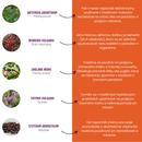 PARAS-ELIX Parazity 1:1 bylinná tinktúra – zloženie