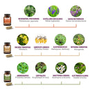 BORELISET – Komplettpaket gegen Borreliose | Konzentrierte Extraktkapseln INFLAM, IMUN, INFEX