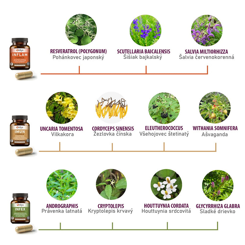 BORELISET – Complete Package for Lyme Disease | Concentrated Extract Capsules INFLAM, IMUN, INFEX 