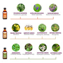 BORELISET – Paquet complet pour la maladie de Lyme | Teintures 1:1 ultra-fortes INFLAM, IMUN, INFEX