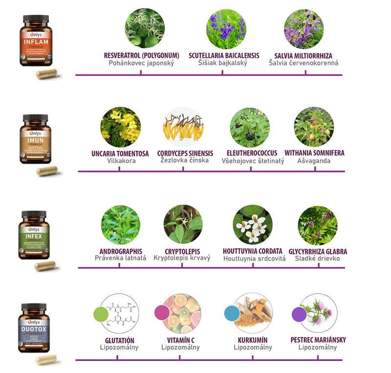 BORELISET – Complete Package for Lyme Disease + Detox Formula | Concentrated Extract Capsules INFLAM, IMUN, INFEX + Liposomal DUOTOX