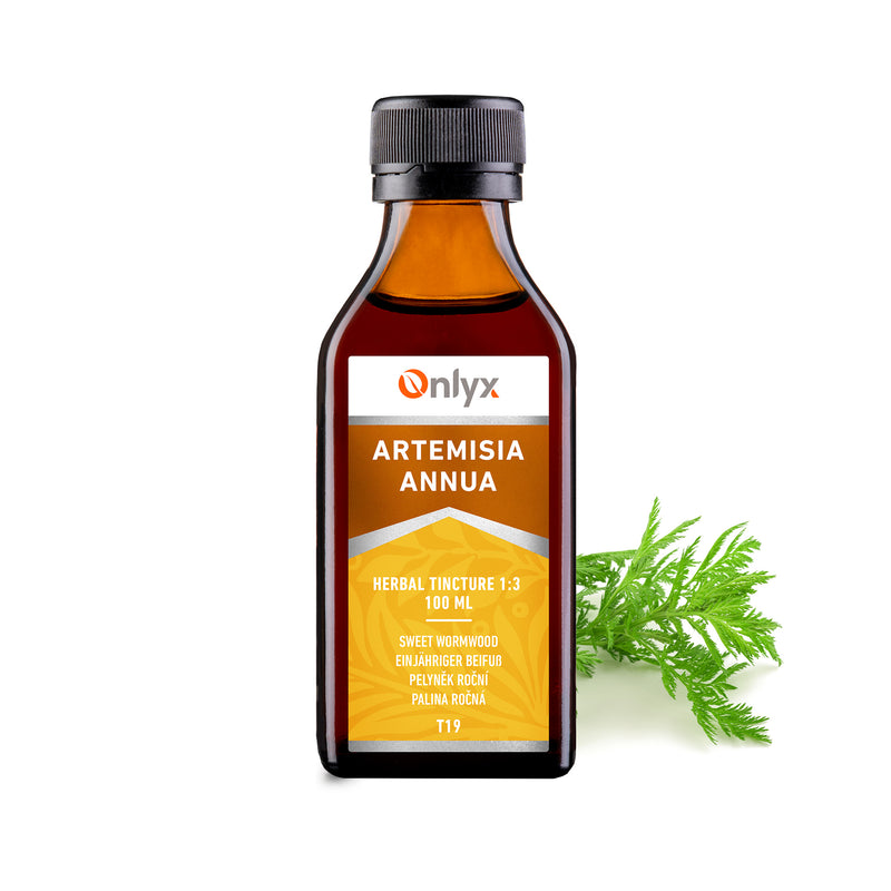 Artemisia annua | Pelyněk roční - tinktura 1:3 - 100ml |T19|