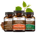 Buhner | Borréliose - Paquet BASIC - Protocole de base | Comprimés de plantes crues