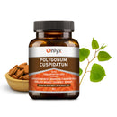 Polygonum cuspidatum | Japanese knotweed | Japanischer Staudenknöterich
 - RAW Kräutertabletten - 90g |P01|